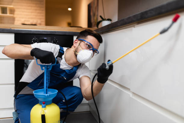 Best Rat Extermination Near Me  in Carrier Mls, IL