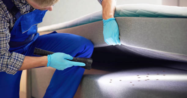 Best Wasp Removal Services  in Carrier Mls, IL