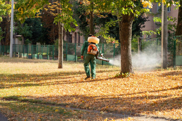 Best Residential Pest Control  in Carrier Mls, IL