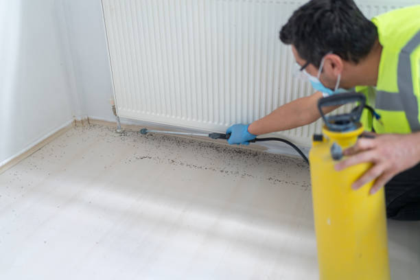 Best Pest Prevention Services  in Carrier Mls, IL